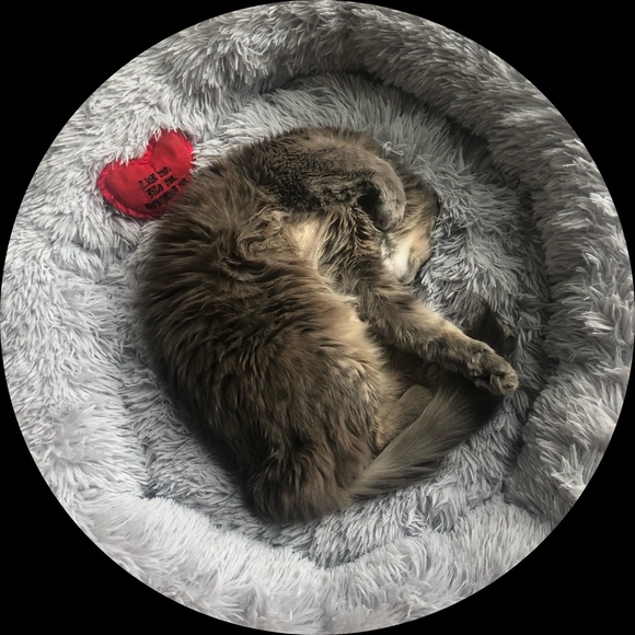 stella_merlin